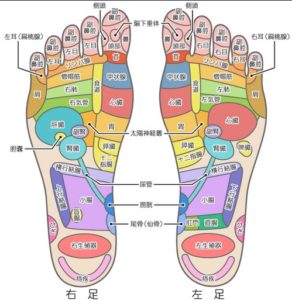 足裏の反射区ゾーン